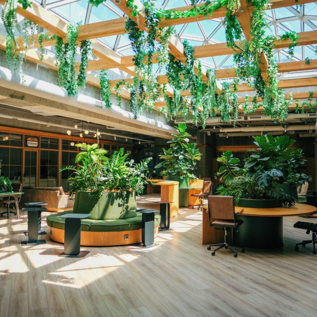 open office with plants everywhere and hanging from the ceiling